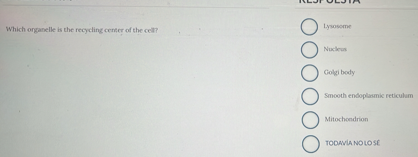 Which organelle is the recycling center of the cell? Lysosome
Nucleus
Golgi body
Smooth endoplasmic reticulum
Mitochondrion
TODAVÍA NO LO SE