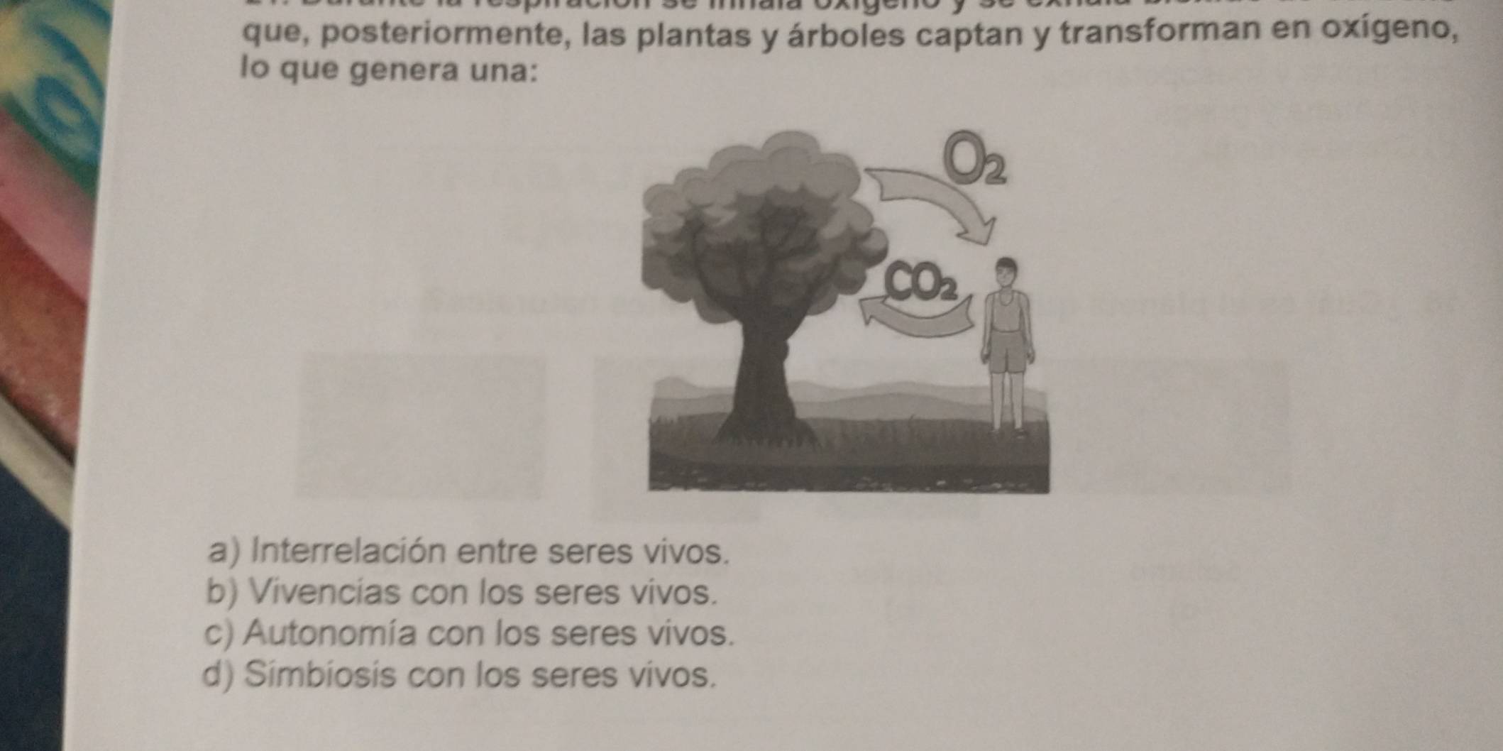 que, posteriormente, las plantas y árboles captan y transforman en oxígeno,
lo que genera una:
a) Interrelación entre seres vivos.
b) Vivencias con los seres vivos.
c) Autonomía con los seres vivos.
d) Simbiosis con los seres vivos.