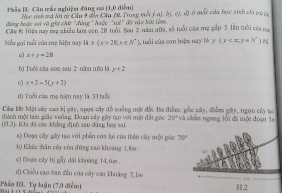 Phần II. Câu trắc nghiệm đúng sai (1,0 điểm)
Học sinh trả lời từ Câu 9 đến Câu 10. Trong mỗi ý a), b), c), d) ở mỗi cầu học sinh chi trá lời
đúng hoặc sai và ghi chữ “đúng” hoặc “sai” đó vào bài làm.
Câu 9: Hiện nay mẹ nhiều hơn con 28 tuổi. Sau 2 năm nữa, số tuổi của mẹ gấp 5 lần tuổi của coa
Nếu gọi tuổi của mẹ hiện nay là x(x>28; x∈ N^*) , tuổi của con hiện nay là y (y thì
a) x+y=28
b) Tuổi của con sau 2 năm nữa là y+2
c) x+2=5(y+2)
d) Tuổi của mẹ hiện nay là 33 tuổi
Câu 10: Một cây cao bị gãy, ngọn cây đổ xuống mặt đất. Ba điểm: gốc cây, điểm gãy, ngọn cây tạo
thành một tam giác vuông. Đoạn cây gãy tạo với mặt đất góc 20° và chắn ngang lối đi một đoạn 5m
(H. 2). Khi đó các khẳng định sau đúng hay sai.
a) Đoạn cây gãy tạo với phần còn lại của thân cây một góc 70°
b) Khúc thân cây còn đứng cao khoảng 1, 8m.
c) Đoạn cây bị gẫy dài khoảng 14,6m.
d) Chiều cao ban đầu của cây cao khoảng 7, 1m
Phần III. Tự luận (7,0 điễm) 
Rài 1 /1 5 đi