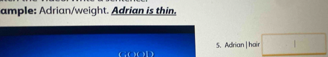ample: Adrian/weight. Adrian is thin. 
5. Adrian | hair □