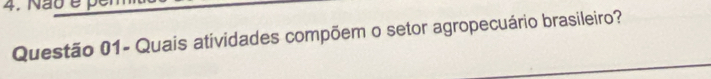 Não é 
Questão 01- Quais atividades compõem o setor agropecuário brasileiro?