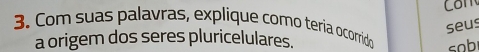 seus 
3. Com suas palavras, explique como teria ocorrido sob 
a origem dos seres pluricelulares.