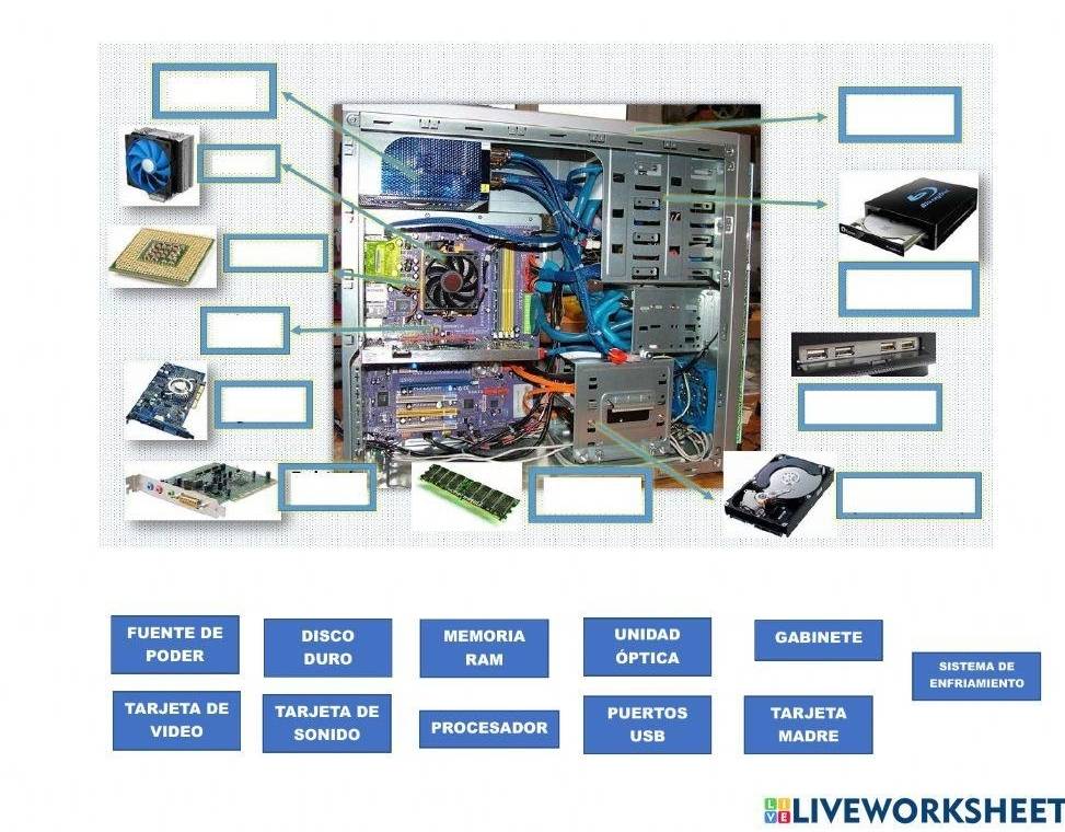 FUENTE DE DISCO MEMORIA UNIDAD GABINETE 
PODER DURO RAM óptica SISTEMA DE 
ENFRIAMIENTO 
TARJETA DE TARJETA DE PUERTOS TARJETA 
VIDEO SONIDO PROCESADOR USB MADRE 
BLIVEWORKSHEET