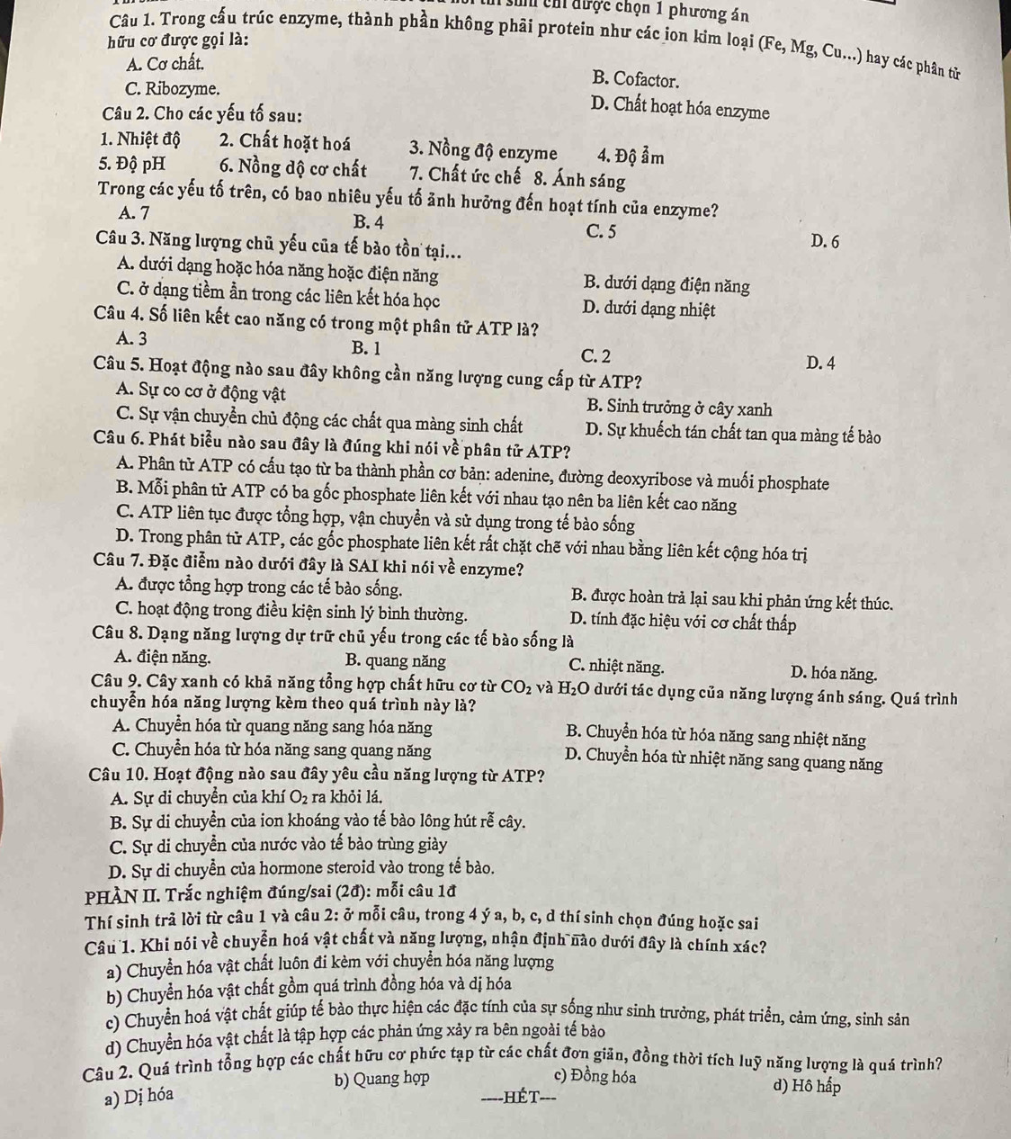 sin c được chọn 1 phương án
hữu cơ được gọi là:
Câu 1. Trong cấu trúc enzyme, thành phần không phải protein như các ion kim loại (Fe, Mg, Cu...) hay các phân tử
A. Cơ chất.
B. Cofactor.
C. Ribozyme.
Câu 2. Cho các yếu tố sau:
D. Chất hoạt hóa enzyme
1. Nhiệt độ 2. Chất hoặt hoá 3. Nồng độ enzyme 4. Độ ảm
5. Độ pH 6. Nồng độ cơ chất 7. Chất ức chế 8. Ánh sáng
Trong các yếu tố trên, có bao nhiêu yếu tố ảnh hưởng đến hoạt tính của enzyme?
A. 7
B. 4 C. 5
Câu 3. Năng lượng chủ yếu của tế bào tồn tại... D. 6
A. dưới dạng hoặc hóa năng hoặc điện năng B. dưới dạng điện năng
C. ở dạng tiềm ần trong các liên kết hóa học D. dưới dạng nhiệt
Câu 4. Số liên kết cao năng có trong một phân tử ATP là?
A. 3
B. 1 C. 2
D. 4
Câu 5. Hoạt động nào sau đây không cần năng lượng cung cấp từ ATP?
A. Sự co cơ ở động vật B. Sinh trưởng ở cây xanh
C. Sự vận chuyển chủ động các chất qua màng sinh chất D. Sự khuếch tán chất tan qua màng tế bào
Câu 6. Phát biểu nào sau đây là đúng khi nói về phân tử ATP?
A. Phân tử ATP có cấu tạo từ ba thành phần cơ bản: adenine, đường deoxyribose và muối phosphate
B. Mỗi phân từ ATP có ba gốc phosphate liên kết với nhau tạo nên ba liên kết cao năng
C. ATP liên tục được tổng hợp, vận chuyền và sử dụng trong tế bào sống
D. Trong phân tử ATP, các gốc phosphate liên kết rất chặt chẽ với nhau bằng liên kết cộng hóa trị
Câu 7. Đặc điễm nào dưới đây là SAI khi nói vhat e enzyme?
A. được tổng hợp trong các tế bào sống. B. được hoàn trả lại sau khi phản ứng kết thúc.
C. hoạt động trong điều kiện sinh lý bình thường. D. tính đặc hiệu với cơ chất thấp
Câu 8. Dạng năng lượng dự trữ chủ yếu trong các tế bào sống là
A. điện năng. B. quang năng C. nhiệt năng. D. hóa năng.
Câu 9. Cây xanh có khả năng tổng hợp chất hữu cơ từ CO_2 và H_2O * dưới tác dụng của năng lượng ánh sáng. Quá trình
chuyển hóa năng lượng kèm theo quá trình này là?
A. Chuyển hóa từ quang năng sang hóa năng
B. Chuyển hóa từ hóa năng sang nhiệt năng
C. Chuyễn hóa từ hóa năng sang quang năng
D. Chuyền hóa từ nhiệt năng sang quang năng
Câu 10. Hoạt động nào sau đây yêu cầu năng lượng từ ATP?
A. Sự di chuyển của khí O_2 ra khỏi lá.
B. Sự di chuyền của ion khoáng vào tế bào lông hút rễ cây.
C. Sự di chuyển của nước vào tế bào trùng giày
D. Sự di chuyền của hormone steroid vào trong tế bào.
PHÀN II. Trắc nghiệm đúng/sai (2d) ): mỗi câu 1đ
Thí sinh trà lời từ câu 1 và câu 2: ở mỗi câu, trong 4 ý a, b, c, d thí sinh chọn đúng hoặc sai
Câu 1. Khi nói về chuyễn hoá vật chất và năng lượng, nhận định nào dưới đây là chính xác?
a) Chuyển hóa vật chất luôn đi kèm với chuyển hóa năng lượng
b) Chuyền hóa vật chất gồm quá trình đồng hóa và dị hóa
c) Chuyển hoá vật chất giúp tế bào thực hiện các đặc tính của sự sống như sinh trưởng, phát triển, cảm ứng, sinh sản
d) Chuyển hóa vật chất là tập hợp các phản ứng xảy ra bên ngoài tế bào
Câu 2. Quả trình tổng hợp các chất hữu cơ phức tạp từ các chất đơn giản, đồng thời tích luỹ năng lượng là quá trình?
b) Quang hợp c) Đồng hóa d) Hô hấp
a) Dị hóa
===Hế T