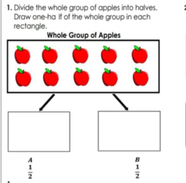 Divide the whole group of apples into halves.
Draw one-ha If of the whole group in each
rectangle.