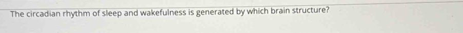 The circadian rhythm of sleep and wakefulness is generated by which brain structure?
