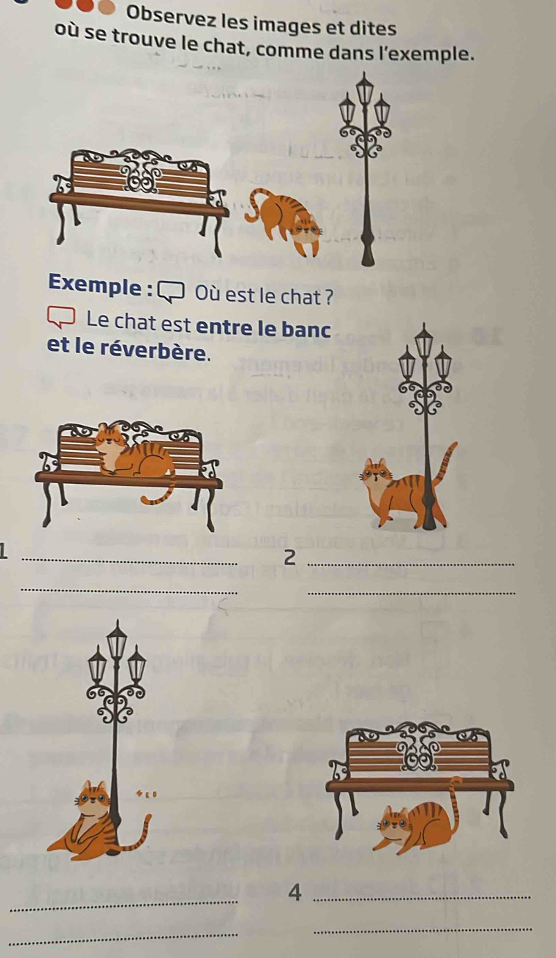 Observez les images et dites 
où se trouve le chat, comme dans l'exemple. 
Exemple : □ Où est le chat ? 
Le chat est entre le banc 
et le réverbère. 
_ 
_2 
_ 
_ 
_ 
_4 
_ 
_