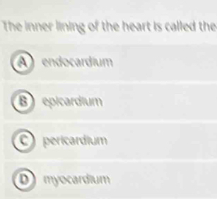 The inner lining of the heart is called the
A endocardium
B epicardium
C pericardium
D myocardium