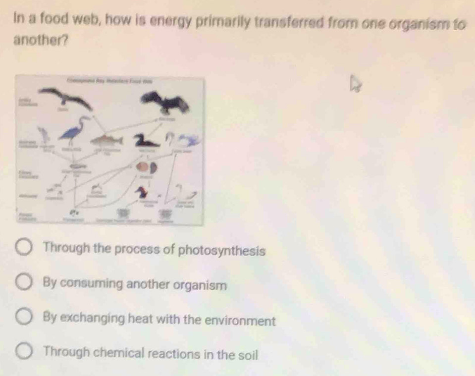 In a food web, how is energy primarily transferred from one organism to
another?
Through the process of photosynthesis
By consuming another organism
By exchanging heat with the environment
Through chemical reactions in the soil