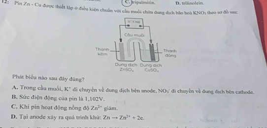 C. tripalmitin. D. trilinolein
12: Pin Zn - Cu được thiết lập ở điều kiện chuẩn với cầu muối chứa dung dịch bão hoà KNO_3 theo sơ đồ sau:
Phát biểu nào sau đây đủng?
A. Trong cầu muối, K* di chuyển về dung dịch bên anode, NOý di chuyển về dung dịch bên cathode.
B. Sức điện động của pin là 1,102V.
C. Khi pin hoạt động nồng độ Zn^(2+) giảm.
D. Tại anode xảy ra quá trình khử: Znto Zn^(2+)+2e.