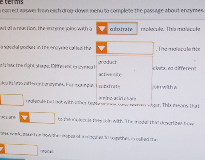 é térms 
e correct answer from each drop-down menu to complete the passage about enzymes. 
art of a reaction, the enzyme joins with a substrate molecule. This molecule 
a special pocket in the enzyme called the . The molecule fits 
product 
e it has the right shape. Different enzymes h ckets, so different 
active site 
ules fit into different enzymes. For example, 1 substrate join with a 
amino acid chain 
molecule but not with other types or molecule, such as sagar. This means that 
mês are to the molecule they join with. The model that describes how 
mes work, based on how the shapes of molecules fit together, is called the 
model.