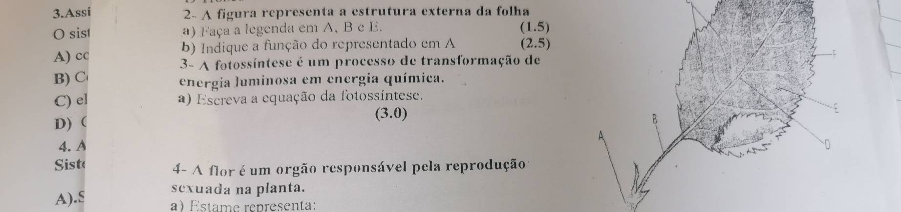 Assi 2- A figura representa a estrutura externa da folha
O sis1 a) Faça a legenda em A, B e E.
(1.5)
b) Indique a função do representado em A (2.5)
A) cc
3- A fotossíntese é um processo de transformação de
B) C
energia luminosa em energia química.
C) el a) Escreva a equação da fotossíntese.
(3.0)
D)  
4. A
Siste
4- A flor é um orgão responsável pela reprodução
A).S
sexuada na planta.
a) Estame representa: