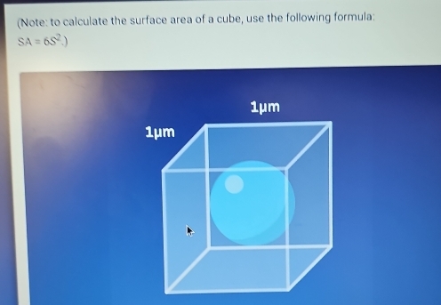 (Note: to calculate the surface area of a cube, use the following formula:
SA=6S^2.)