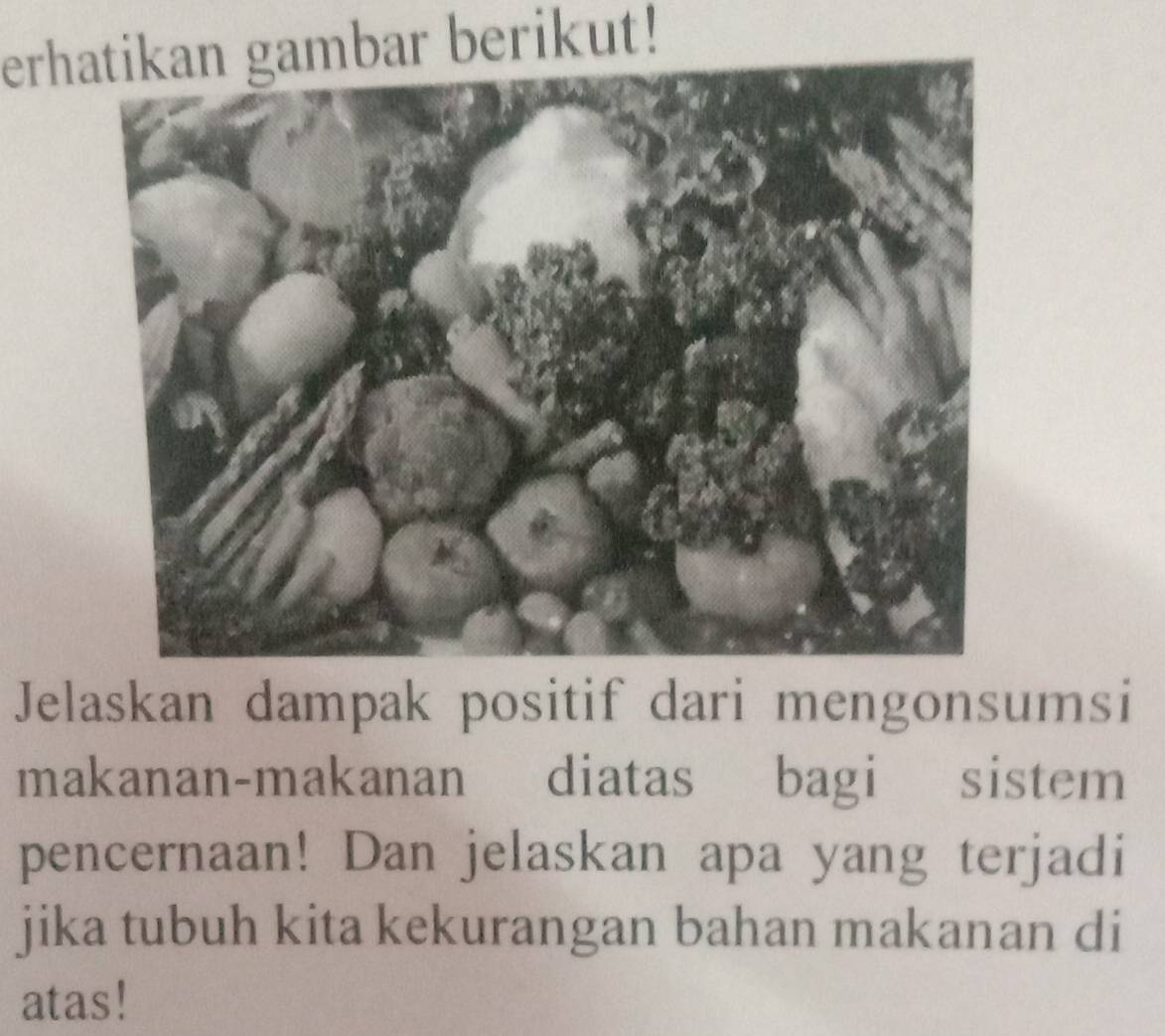 erhgambar berikut! 
Jelaskan dampak positif dari mengonsumsi 
makanan-makanan diatas bagi sistem 
pencernaan! Dan jelaskan apa yang terjadi 
jika tubuh kita kekurangan bahan makanan di 
atas!