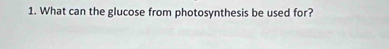 What can the glucose from photosynthesis be used for?