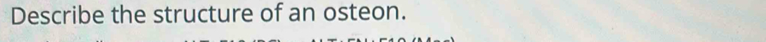 Describe the structure of an osteon.