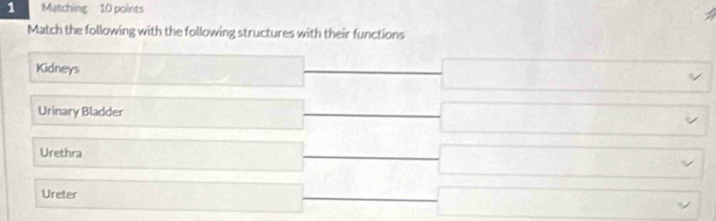 Matching 10 points 
Match the following with the following structures with their functions 
Kidneys 
Urinary Bladder 
Urethra 
Ureter