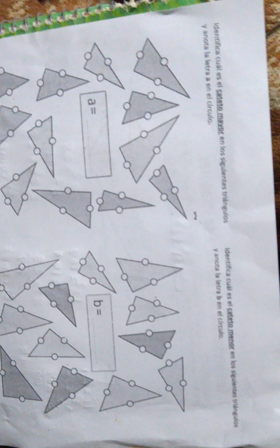 Identifica cuál es el cateto mavor en los siguientes triángulos Identifica cuál es el cateto menor en los siguientes triángulos 
y anota la letra a en el círculo. y anota la letra b en el círculo. 
_ a=
b= _