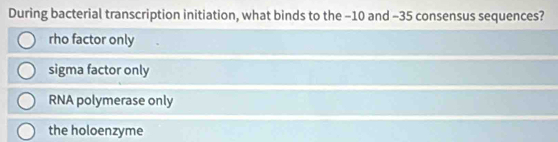 During bacterial transcription initiation, what binds to the -10 and -35 consensus sequences?
rho factor only
sigma factor only
RNA polymerase only
the holoenzyme