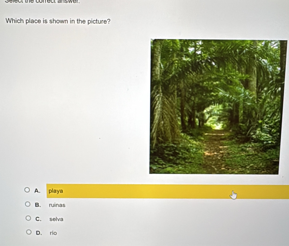 Sefect the correct answer.
Which place is shown in the picture?
A. playa
B. ruinas
C. selva
D. rio