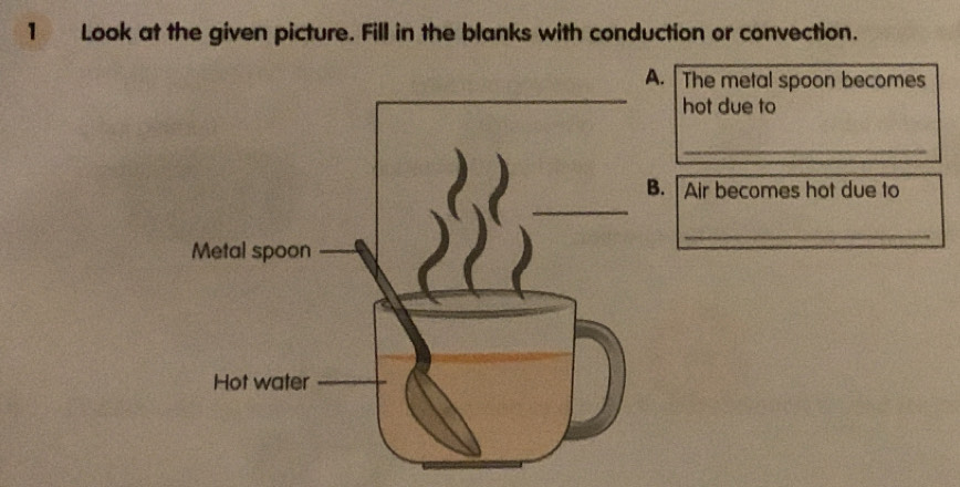 Look at the given picture. Fill in the blanks with conduction or convection. 
A. The metal spoon becomes 
hot due to 
_ 
B. Air becomes hot due to 
_