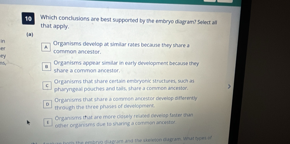 Which conclusions are best supported by the embryo diagram? Select all
that apply.
(a)
In
er
A
Organisms develop at similar rates because they share a
common ancestor.
ey
ns, Organisms appear similar in early development because they
B
share a common ancestor.
C Organisms that share certain embryonic structures, such as
pharyngeal pouches and tails, share a common ancestor.
D Organisms that share a common ancestor develop differently
through the three phases of development.
Órganisms that are more closely related develop faster than
E
other organisms due to sharing a common ancestor.
ge both the embryo diagram and the skeleton diagram. What types of