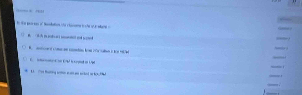 Solved: ( In the provess of translation, the ribssume is the vts where ...