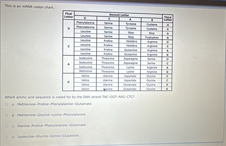 Solved: This is an mRNA codon chart. Which amino acid sequence is coded ...