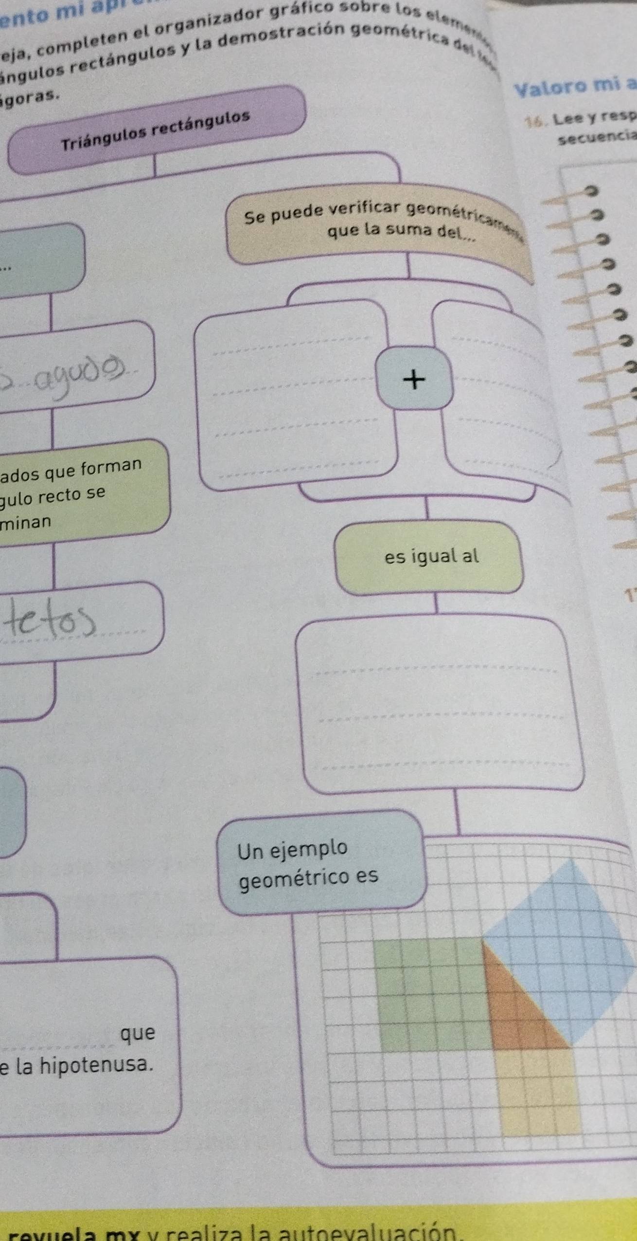 ento mi ápró 
eja, completen el organizador gráfico sobre los elemen 
ángulos rectángulos y la demostración geométrica del l 
igoras. 
Valoro mi a 
Triángulos rectángulos 
16. Lee y resp 
secuencia 
Se puede verificar geométricames 
que la suma del... 
. 
_ 
_ 
_ 
_ 
_ 
+ 
_ 
_ 
ados que forman 
_ 
_ 
gulo recto se 
minan 
es igual al 
1 
_ 
_ 
_ 
_ 
Un ejemplo 
geométrico es 
_que 
e la hipotenusa. 
y y realiza la autoevaluación