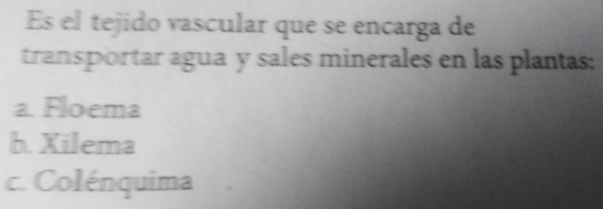 Es el tejido vascular que se encarga de
transportar agua y sales minerales en las plantas:
a. Floema
b. Xilema
c. Colénquima