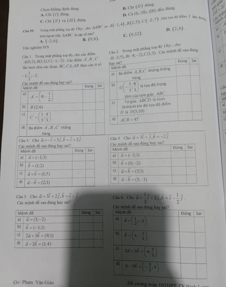 Chọn khẳng định đúng
B. Chi (∥) đúng.
a
A. Chi (7) đúng.
D. Că (I), (II), (III) đều đúng.
overline OA=2overline 7 am giáo
C. Chi ( // ) và ( /// ) đúng.
Mệnh 
Câu 55: Trong mật phẳng tọa độ Oxy , cho △ ABC có A(-1;4),B(2;5),C(-2;7) Hội tọa độ điểm 7 tâm đường Các mện
A
D.
tròn ngoại tiếp △ ABC là cập số nào?
A. (-2;6). B. (0;6). C. (0;12). (2;6).
al
  
b
Trắc nghiệm Đ/S
Câu 1. Trong mặt phẳng toạ độ, cho các điểm Câu 2. Trong mặt phẳng toạ độ Oxy , cho
A(0;2);B(1;1);C(-1;-2) Các điểm A,B',C Các mệnh đề sau đũng
lần lượt chia các đoạn BC,CA, AB theo các tỉ số
-1; 1/2 ;-2.
d)
Câu
hay
M
a)
b)
C
Câu 3. Cho vector a=-vector i+3vector j,vector b=vector i+2vector j. Câu 4. Cho vector a=3vector i+vector j,vector b=-2vector j.
Câu 5. Cho vector a=3vector i+2vector j,vector b=vector i-vector j. Câu 6. Cho vector a= 1/2 vector i+2vector j,vector b=vector i- 1/2 vector j.
Các mệnh đề sau đúng hay sai? 
Gv: Phạm Văn Giáo  Đế cương toán 10THPT T Y R