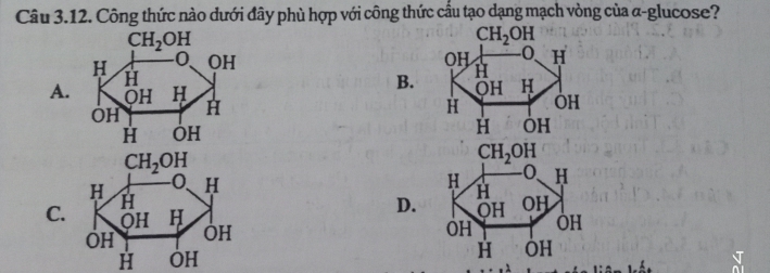 Công thức nào dưới đây phù hợp với công thức cầu tạo dạng mạch vòng của α-glucose?
CH_2OH
CH_2OH
H OH
C H 0 H
H
H
B. OH H
H OH
A. OH H H H OH
OH
H OH
CH_2OH
CH_2OH
H
H 0 H
H H
H
D. OH OH
C. OH H OH
OH
OH OH
H OH
H OH