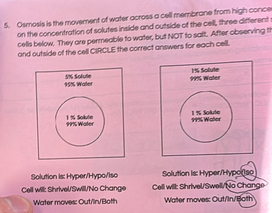 Osmosis is the movement of water across a cell membrane from high conce
on the concentration of solutes inside and outside of the cell, three different s
cells below. They are permeable to water, but NOT to salt. After observing ti
and outside of the cell CIRCLE the correct answers for each celll.

Solution is: Hyper/Hypo/Iso Solution is: Hyper/Hypo(Iso
Cell will: Shrivel/Swill/No Change Cell will: Shrivel/Swell/No Change
Water moves: Out/In/Both Water moves: Out/In/Both