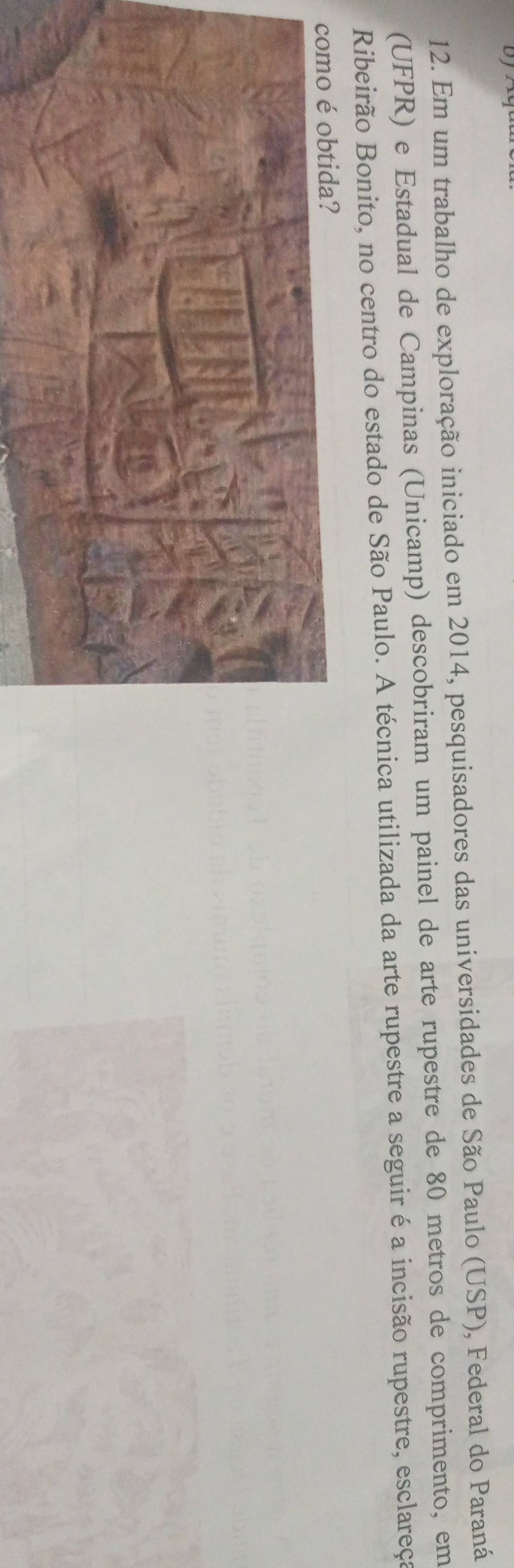 Em um trabalho de exploração iniciado em 2014, pesquisadores das universidades de São Paulo (USP), Federal do Paraná 
(UFPR) e Estadual de Campinas (Unicamp) descobriram um painel de arte rupestre de 80 metros de comprimento, em 
Ribeirão Bonito, no centro do estado de São Paulo. A técnica utilizada da arte rupestre a seguir é a incisão rupestre, esclareça