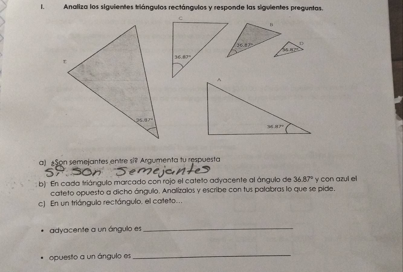 Analiza los siguientes triángulos rectángulos y responde las siguientes preguntas.
a) ¿Son semejantes entre sí? Argumenta tu respuesta
b): En cada triángulo marcado con rojo el cateto adyacente al ángulo de 36.87° y con azul el
cateto opuesto a dicho ángulo. Analízalos y escribe con tus palabras lo que se pide.
c) En un triángulo rectángulo, el cateto...
adyacente a un ángulo es_
opuesto a un ángulo es
_