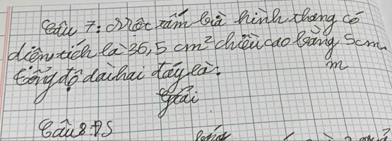 eat 7: hee ram bà hinh thng co 
dienticn la 36, 5cm^2 chiéu gao Bang som 
tóng do daihai day eà 
m 
gea 
BauS 
?