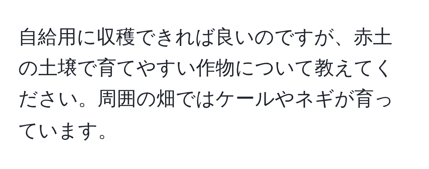 自給用に収穫できれば良いのですが、赤土の土壌で育てやすい作物について教えてください。周囲の畑ではケールやネギが育っています。