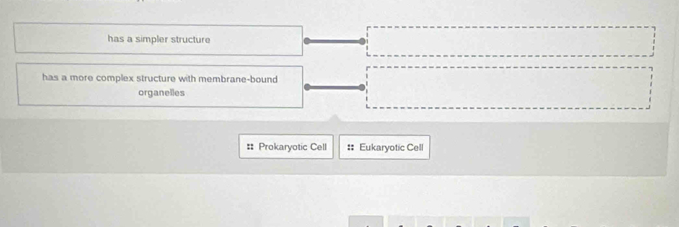 has a simpler structure
has a more complex structure with membrane-bound
organelles
Prokaryotic Cell :: Eukaryotic Cell