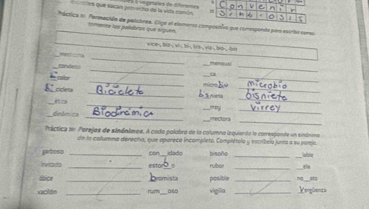 ves o vogetales de diferentes 
n 1 
cuntres que sacan provecho de la vida común. 20 6 I 
Práctica 1 Formación de palabras. Eliga el elemento compositivo que correspondo para escribir correo 
tamente las palabras que siguen. 
_ 
vice-, biz-, vi-, bì-, bis-, viz-, bio-, -bío 
_ 
_medicinn 
_ 
_mensual 
_ 
_candess 
calor 
_ 
_ca 
_ 
_ 
_cicleta micra_ 
_ 
_nieta 
_ 
_ética 
_rroy 
_ 
_ 
_dinfmica __rrectora 
Práctica d Parejos de sinónimos. A cada palobra de la columna izquierdo le corresponde un sinónimo 
de la collumna derecha, que aparece incompleto. Complétalo y escríbelo junto a su parejo. 
garboso _can_ idado bisaño __lable 
_ 
Invitado _estor_ 。 rubor _ela 
sbice _promista pasible _no_ ato 
vación _rum_ aso vigilia _Vergüenza