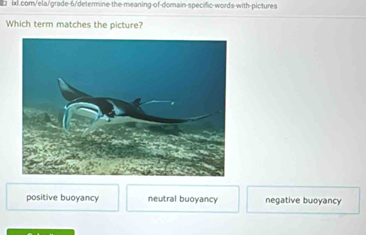 Which term matches the picture?
positive buoyancy neutral buoyancy negative buoyancy