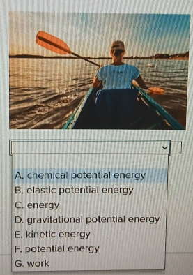 A. chemical potential energy
B. elastic potential energy
C. energy
D. gravitational potential energy
E. kinetic energy
F. potential energy
G. work