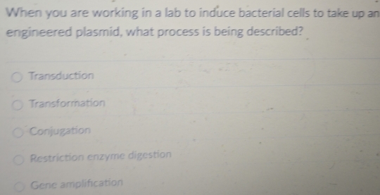 When you are working in a lab to induce bacterial cells to take up an
engineered plasmid, what process is being described?
Transduction
Transformation
Conjugation
Restriction enzyme digestion
Gene amplification