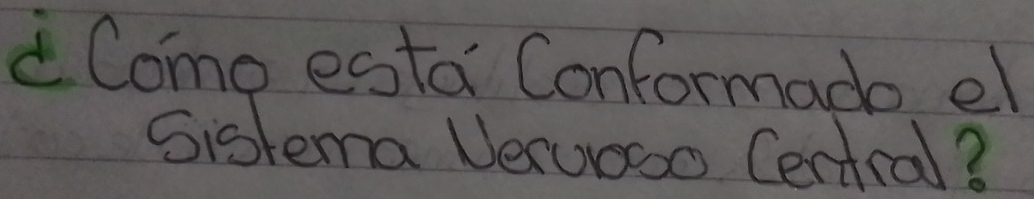 Como esta Conformado el 
Sistema Veruooo Certcal?