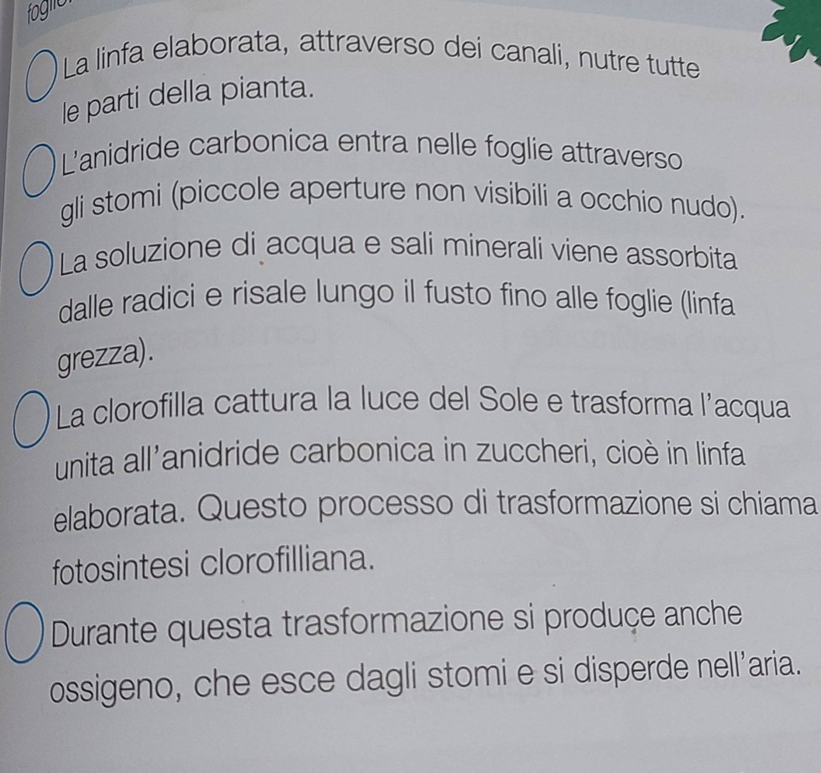 fogn 
La linfa elaborata, attraverso dei canali, nutre tutte 
le parti della pianta. 
Lanidride carbonica entra nelle foglie attraverso 
gli stomi (piccole aperture non visibili a occhio nudo). 
La soluzione di acqua e sali minerali viene assorbita 
dalle radici e risale lungo il fusto fino alle foglie (linfa 
grezza). 
La clorofilla cattura la luce del Sole e trasforma l'acqua 
unita all'anidride carbonica in zuccheri, cioè in linfa 
elaborata. Questo processo di trasformazione si chiama 
fotosintesi clorofilliana. 
Durante questa trasformazione si produçe anche 
ossigeno, che esce dagli stomi e si disperde nell’aria.