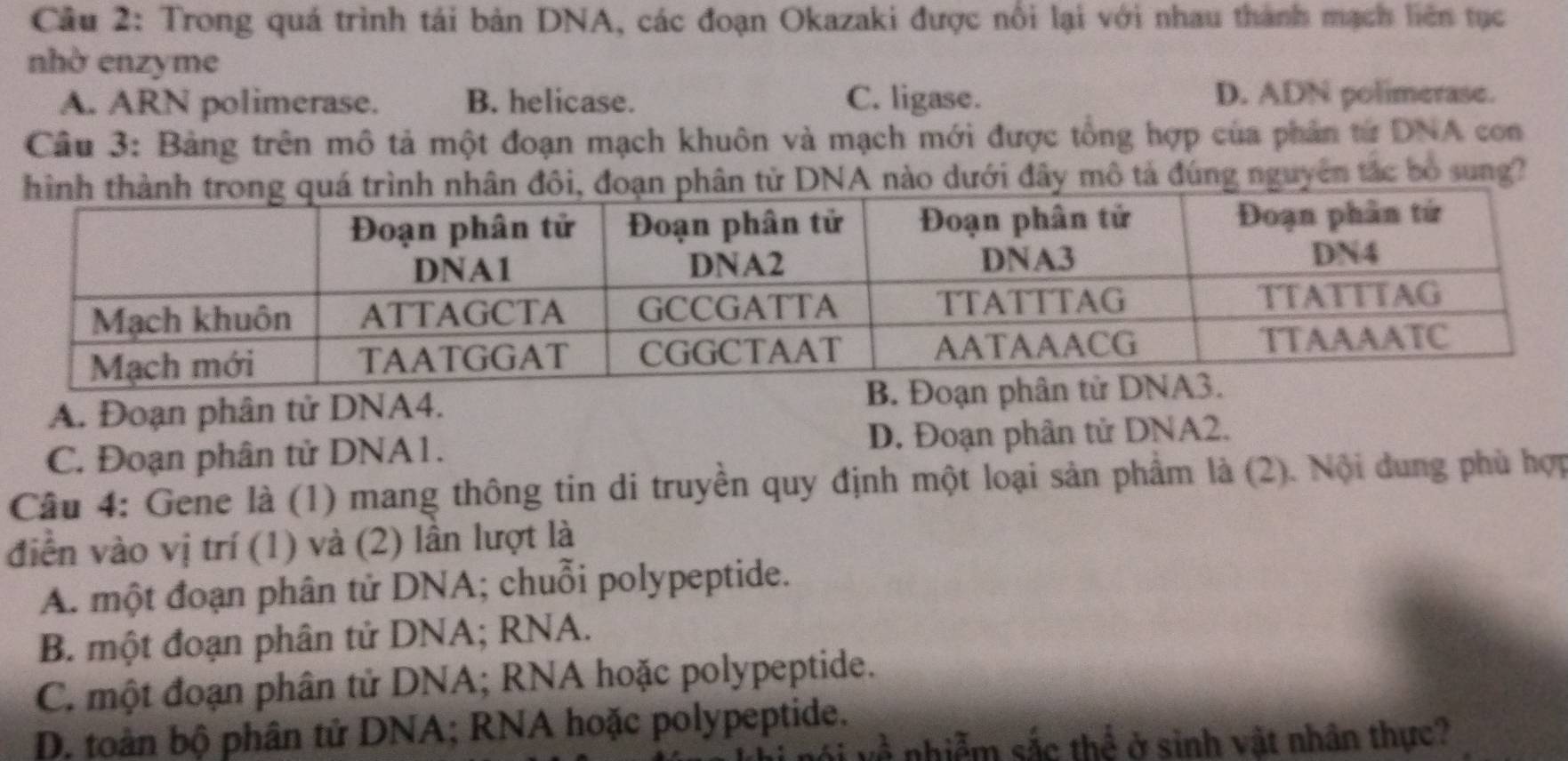 Trong quá trình tái bản DNA, các đoạn Okazaki được nổi lại với nhau thành mạch liên tục
nhờ enzyme
A. ARN polimerase. B. helicase. C. ligase.
D. ADN polimerase.
Câu 3: Bảng trên mô tả một đoạn mạch khuôn và mạch mới được tổng hợp của phân từ DNA con
A nào dưới đây mô tả đúng nguyên tắc bó sung?
A. Đoạn phân tử DNA4. B. Đoạn p
C. Đoạn phân tử DNA1. D. Đoạn phân tử DNA2.
Câu 4: Gene là (1) mang thông tin di truyền quy định một loại sản phầm là (2). Nội dung phù hợp
điền vào vị trí (1) và (2) lần lượt là
A. một đoạn phân tử DNA; chuỗi polypeptide.
B. một đoạn phân tử DNA; RNA.
C. một đoạn phân tử DNA; RNA hoặc polypeptide.
D. toàn bộ phân tử DNA; RNA hoặc polypeptide.
nhiễm sắc thể ở sinh vật nhân thực?