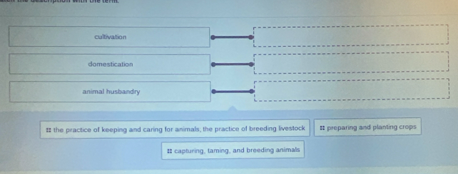 cultivation
domestication
animal husbandry
# the practice of keeping and caring for animals; the practice of breeding livestock # preparing and planting crops
# capturing, taming, and breeding animals