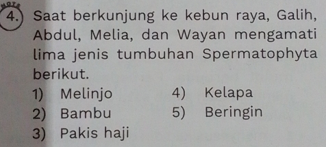 4.) Saat berkunjung ke kebun raya, Galih,
Abdul, Melia, dan Wayan mengamati
lima jenis tumbuhan Spermatophyta
berikut.
1) Melinjo 4) Kelapa
2) Bambu 5) Beringin
3) Pakis haji