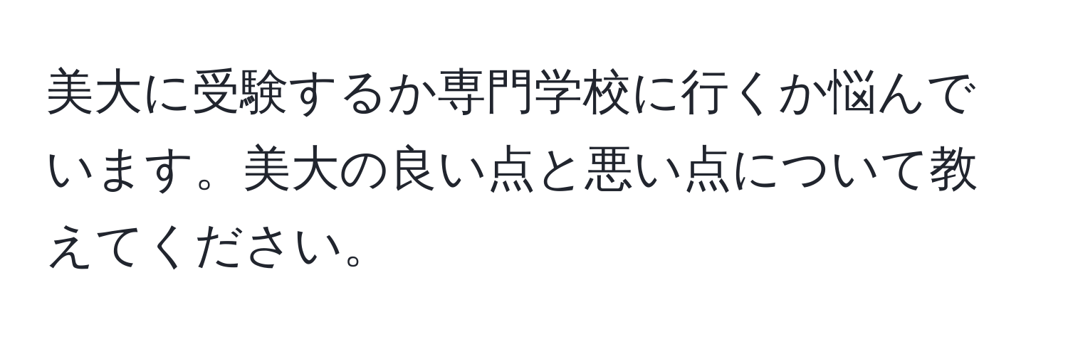 美大に受験するか専門学校に行くか悩んでいます。美大の良い点と悪い点について教えてください。