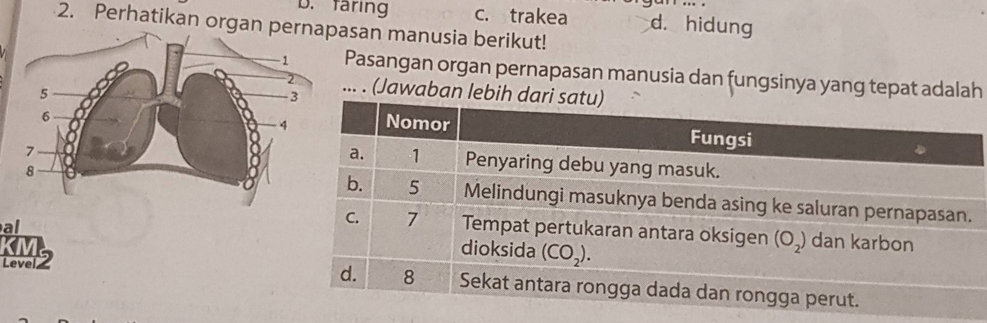 B. faring c. trakea d. hidung
2. Perhatikan organ san manusia berikut!
Pasangan organ pernapasan manusia dan fungsinya yang tepat adalah
.. . (Jawaban lebih dari
al
Level z