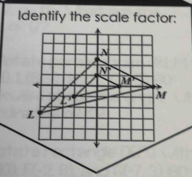 Identify the scale factor: